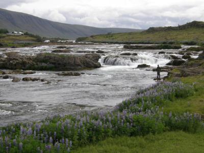 Pesca en Islandia