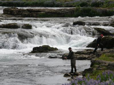 Pesca en Islandia