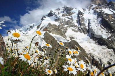 GEORGIA – Reino de los Picos Nevados y Torres Medievales