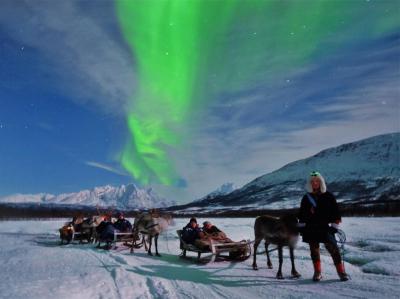 Noche en tienda de campaña y trineo tirado por renos con esperas para ver auroras boreales