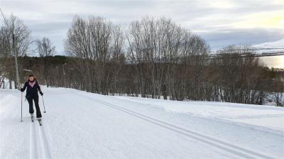 Excursión guiada de esquí de fondo en Tromsø - curso de esquí para principiantes