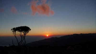 Ascensión al Kilimanjaro por la vía Machame