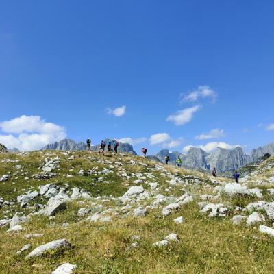 ALBANIA – 8 DÍAS