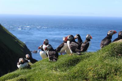 Islas Feroe - Fly and drive - El tour clásico