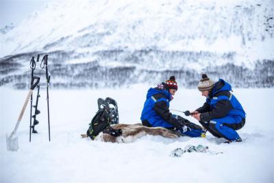 PROGRAMA MULTIACTIVIDADES EN TROMSO