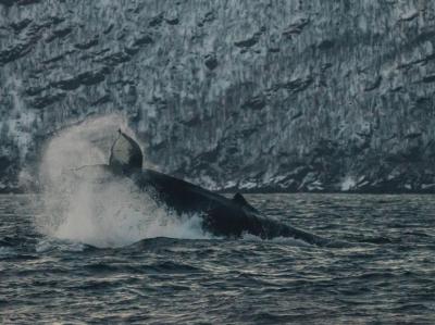 PROGRAMA MULTIACTIVIDADES EN TROMSO