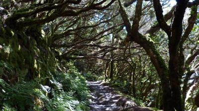 La Gomera- senderismo en una reserva de la biosfera
