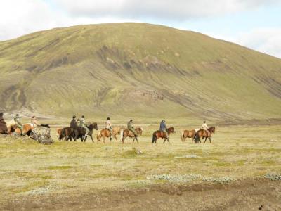 Caballos en Islandia