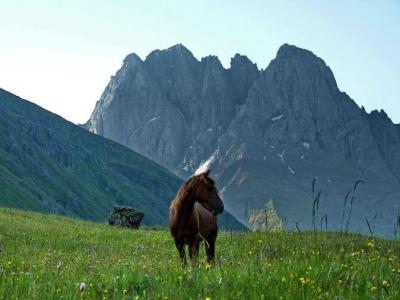 GEORGIA-TIERRA DEL VELLOCINO DE ORO