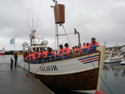 Avistamiento de ballenas en Islandia desde Reykjavik o Husavik