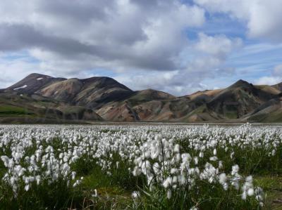 Islandia al completo. Isla de fuego y hielo - 11 días