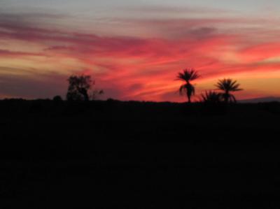 Viaje a Marruecos - El gran sur -  6 días