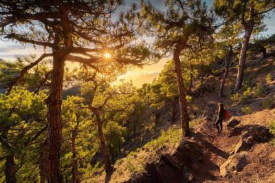 La Palma, la Isla Bonita en primavera