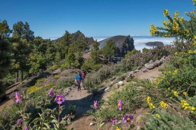 La Palma, la Isla Bonita en primavera