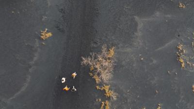 La Palma, la Isla Bonita en primavera