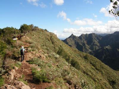 Tenerife en primavera