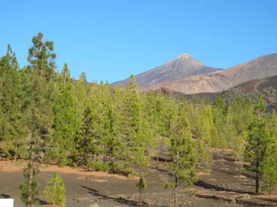 Tenerife en primavera