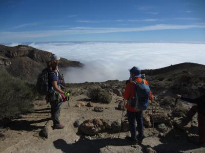 Tenerife en primavera