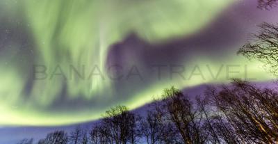 Groenlandia - Bajo la Aurora Boreal 