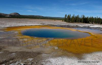 EEUU: Yellowstone y Parques Nacionales del Medio Oeste