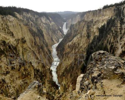 EEUU: Yellowstone y Parques Nacionales del Medio Oeste
