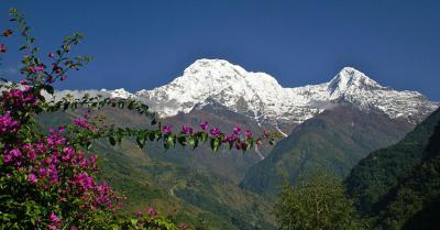 Trekking al Campo Base del Annapurna