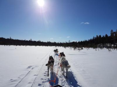 Laponia Finlandesa - Rompehielos y castillo de Hielo