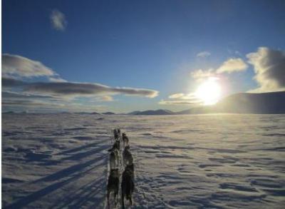 Trineo de husky en el norte de Noruega