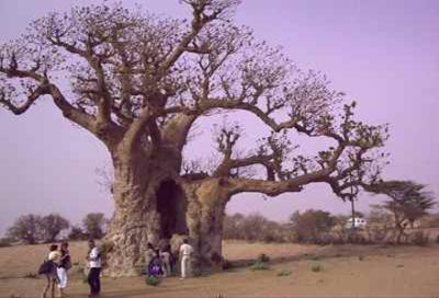 Senegal. Pais Basari y Casamance